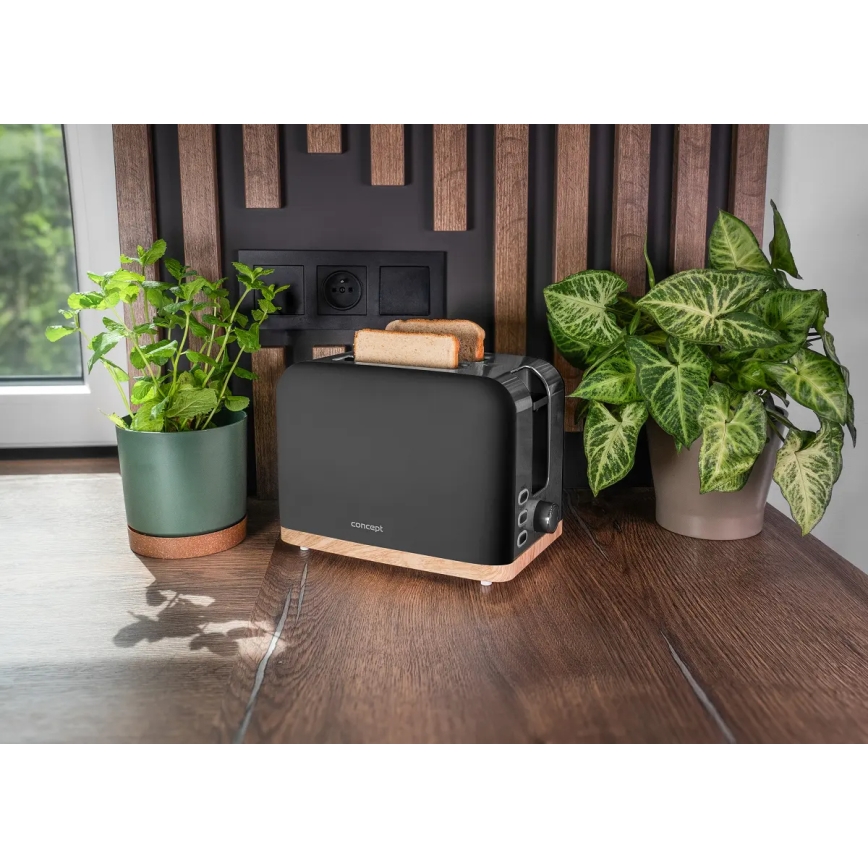 Concept TE2016 - Broodrooster met twee sleuven en opwarmrek 930W/230V zwart