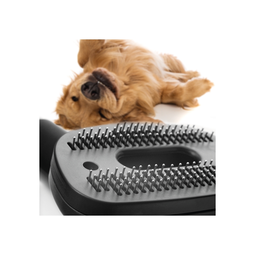 Concept VP5240N - Zakloze stofzuiger 4A RADICAL PET EXPERT 2,5 l 800W/230V brons