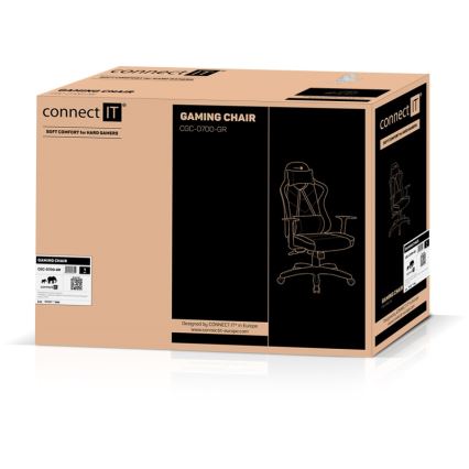 CONNECT IT CGC-0700-GR - Fauteuil de jeu LeMans Pro noir/vert