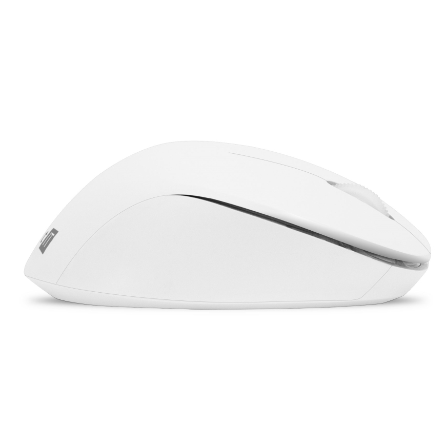 CONNECT IT CKM-7804-CS - Clavier et souris sans fil 1200 DPI avec localisation CZ/SK 1xAAA + 1xAA blanc