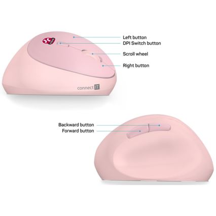 CONNECT IT CMO-2600-PK - Souris sans fil ergonomique 800/1200/1600 DPI, 1 pile AA, rose