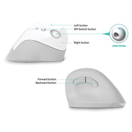 CONNECT IT CMO-2700-WH - Ergonomische draadloze muis 800/1200/1600 DPI 1xAA wit