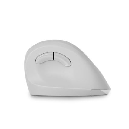 CONNECT IT CMO-2700-WH - Ergonomische draadloze muis 800/1200/1600 DPI 1xAA wit