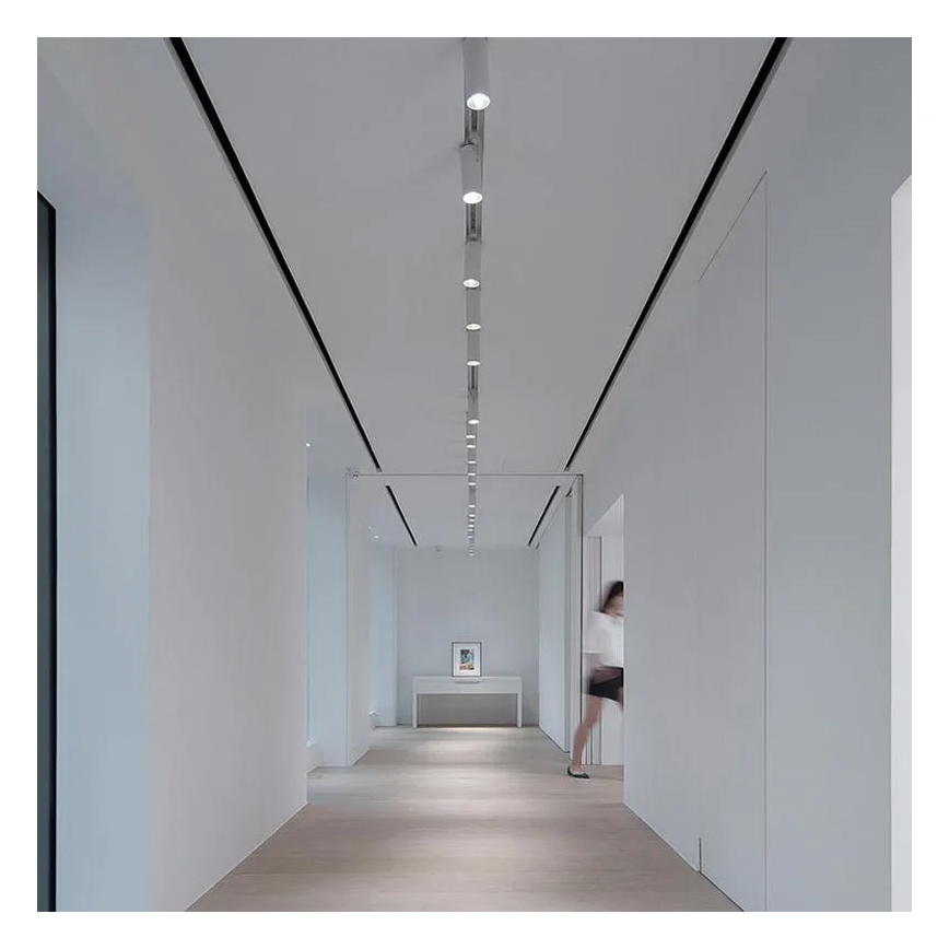 Connecteur droit monophasé blanc pour luminaires sur rail
