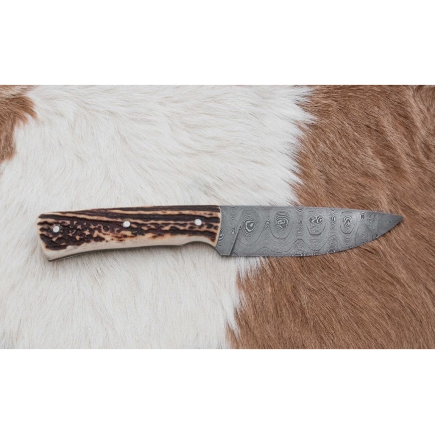 Damascus jachtmes met minizaag 11 cm herten gewei