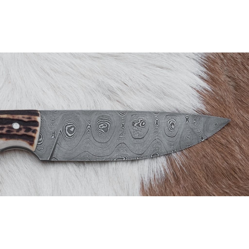 Damascus jachtmes met minizaag 11 cm herten gewei