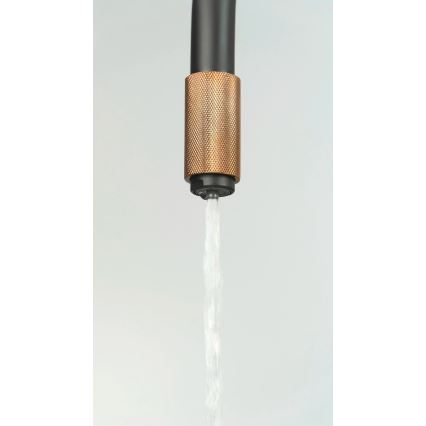 Deante BCA_B64M - Keukenkraan ASTER, zwart/messing