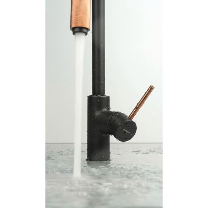 Deante BCA_B64M - Keukenkraan ASTER, zwart/messing