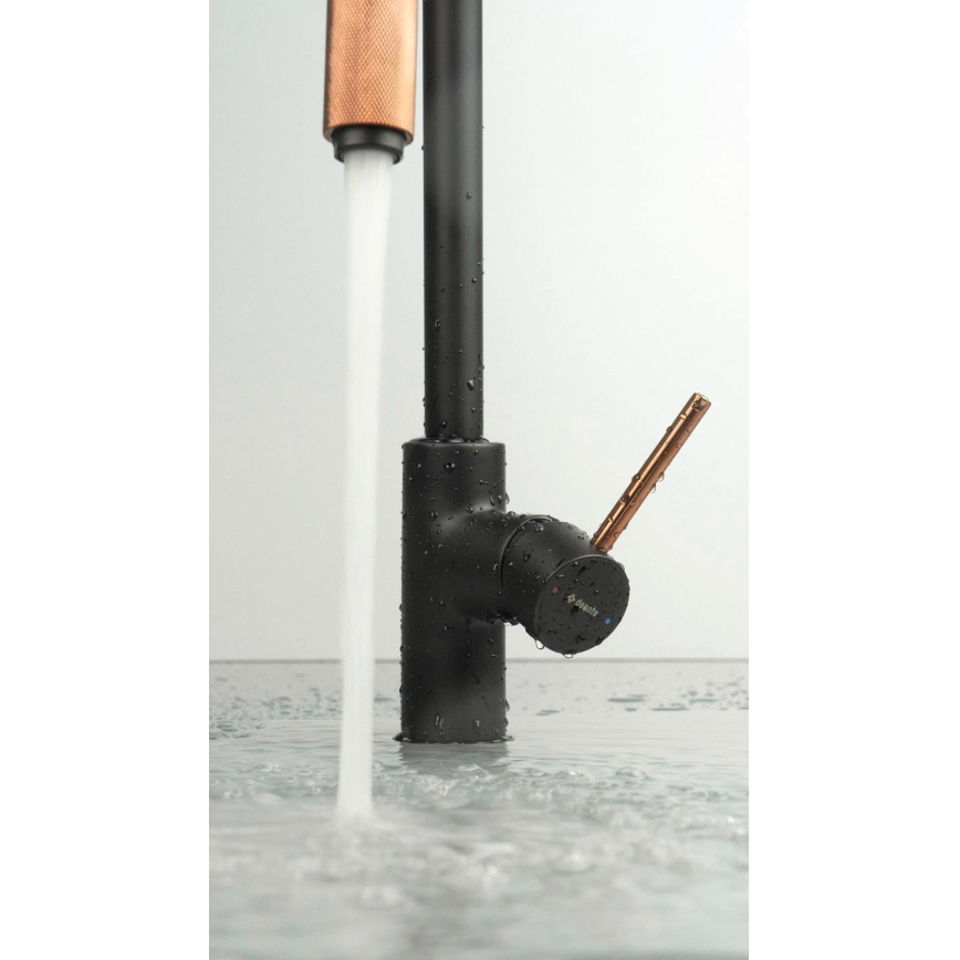 Deante BCA_B64M - Mitigeur d'évier ASTER noir/laiton