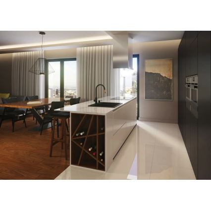 Deante BCA_B64M - Mitigeur d'évier ASTER noir/laiton