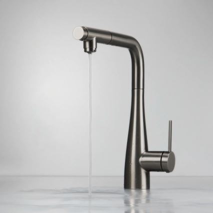 Deante BRE_D75M - Robinet d'évier avec douchette extractible ERIDAN titane