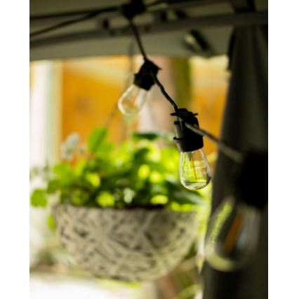 Decoratieve Lichtketting voor Buiten MIMOSA 20xE27/1,3W/230V IP44 10m