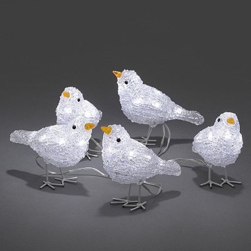 Décoration de Noël extérieure BIRDS 5xLED/230V/24V IP44