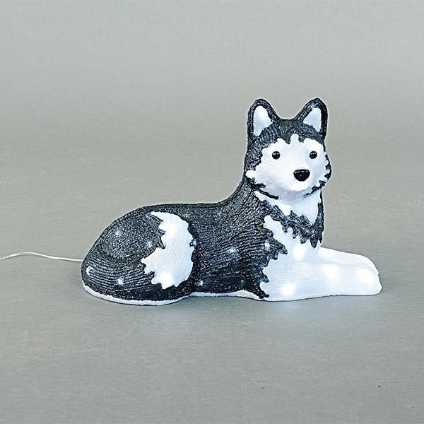 Décoration de Noël extérieure LED/3,6W/230V IP44 blanc froid husky