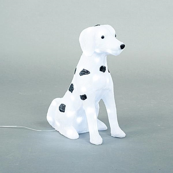 Décoration LED d'extérieur LED/3,6W/230V IP44 blanc froid dalmatien