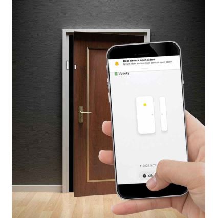 Détecteur de fenêtre et de porte connecté 2xAAA Wi-fi Tuya