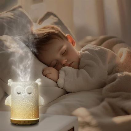 Diffuseur d'ambiance RGBW LED/8W/230V 100 ml hibou