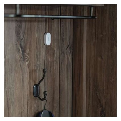 Digitaal draadloze thermometer GoSmart 1×CR2032