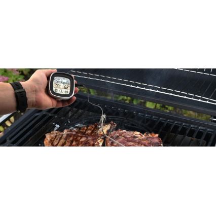 Digitale vleesthermometer met sonde -20-300°C 2xAAA