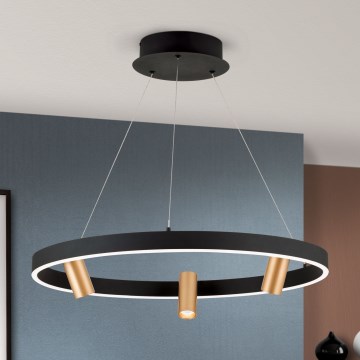 Dimbare LED hanglamp aan een koord BERLIN LED/50W/230V zwart/goud