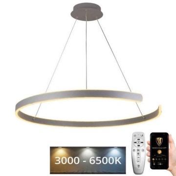 Dimbare LED hanglamp aan een koord LED/100W/230V 3000-6500K diameter 80 cm + afstandsbediening