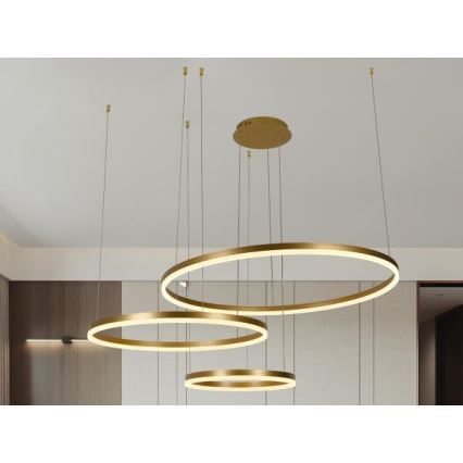 Dimbare LED hanglamp aan een koord LED/125W/230V 3000-6500K diameter 80 cm + afstandsbediening