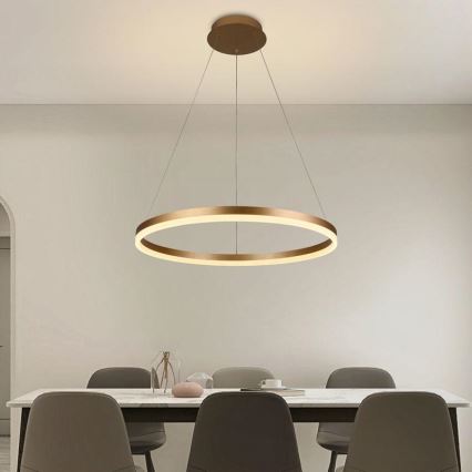Dimbare LED hanglamp aan een koord LED/42W/230V 3000-6500K diameter 60 cm + afstandsbediening