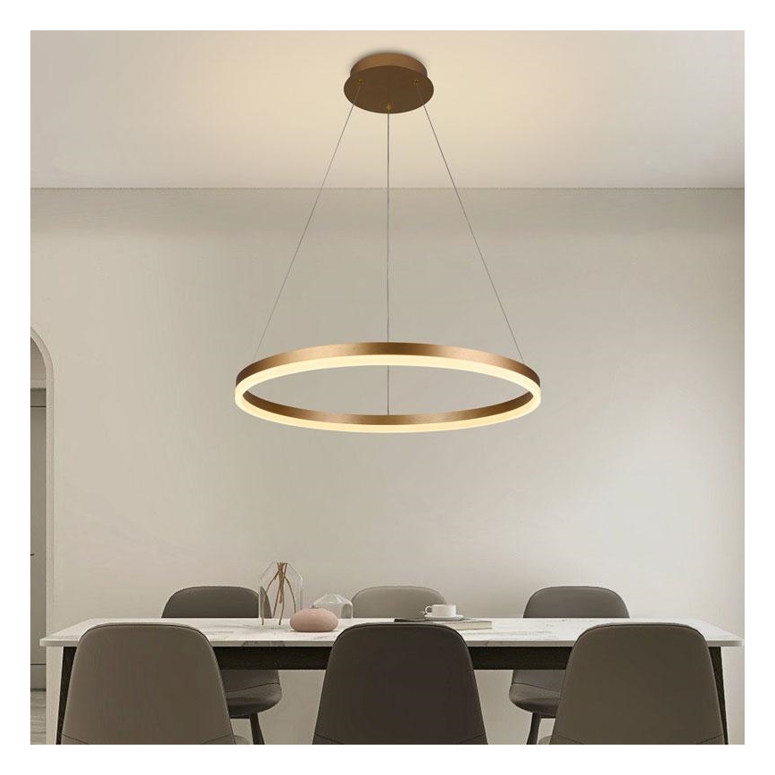 Dimbare LED hanglamp aan een koord LED/42W/230V 3000-6500K diameter 60 cm + afstandsbediening