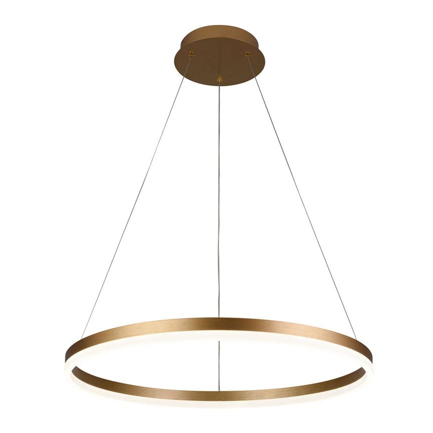 Dimbare LED hanglamp aan een koord LED/42W/230V 3000-6500K diameter 60 cm + afstandsbediening