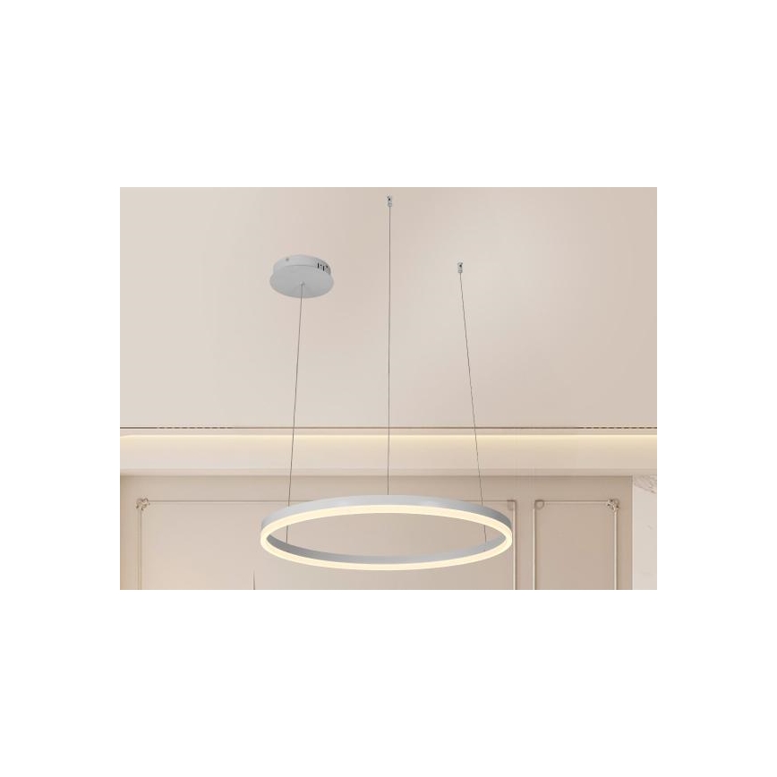 Dimbare LED hanglamp aan een koord LED/42W/230V 3000-6500K + afstandsbediening