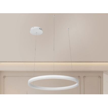 Dimbare LED hanglamp aan een koord LED/42W/230V 3000-6500K diameter 60 cm + afstandsbediening
