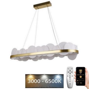 Dimbare LED hanglamp aan een koord LED/50W/230V 3000-6500K goud + afstandsbediening