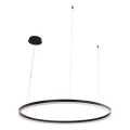 Dimbare LED hanglamp aan een koord LED/55W/230V 3000-6500K + afstandsbediening