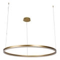 Dimbare LED hanglamp aan een koord LED/55W/230V 3000-6500K + afstandsbediening