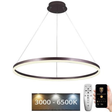 Dimbare LED hanglamp aan een koord LED/55W/230V 3000-6500K diameter 80 cm + afstandsbediening