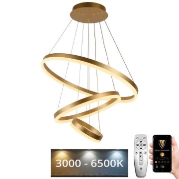 Dimbare LED hanglamp aan een koord LED/85W/230V 3000-6500K diameter 60 cm + afstandsbediening