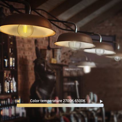 Dimbare LED Lamp FILAMENT G45 E27/4,5W/230V 2700-6500K Wi-Fi - Aigostar