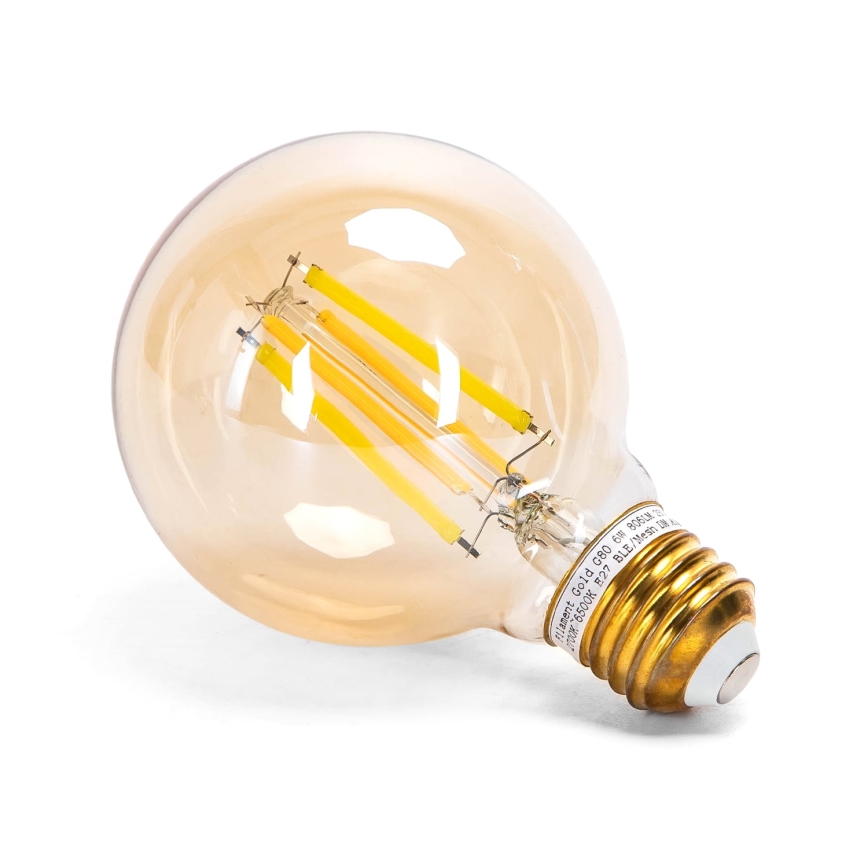 Dimbare LED Lamp FILAMENT MESH Smart G80 E27/6W/230V 2700-6500K - Aigostar