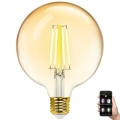 Dimbare LED Lamp FILAMENT MESH Smart G125 E27/6W/230V 2700-6500K - Aigostar
