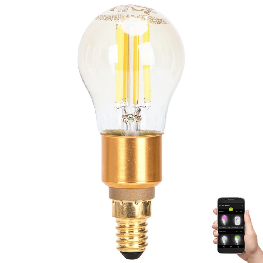 Dimbare LED Lamp FILAMENT MESH Smart G45 E14/4,5W/230V 2700-6500K - Aigostar