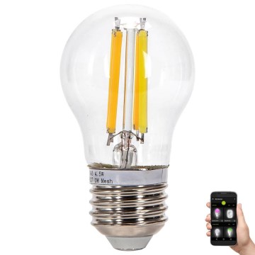 Dimbare LED Lamp FILAMENT MESH Smart G45 E27/4,5W/230V 2700-6500K - Aigostar