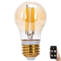 Dimbare LED Lamp FILAMENT MESH Smart G45 E27/4,5W/230V 2700-6500K - Aigostar
