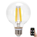 Dimbare LED Lamp FILAMENT MESH Smart G80 E27/6W/230V 2700-6500K - Aigostar