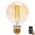 Dimbare LED Lamp FILAMENT MESH Smart G80 E27/6W/230V 2700-6500K - Aigostar