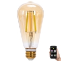 Dimbare LED Lamp FILAMENT MESH Smart ST64 E27/6W/230V 2700-6500K - Aigostar
