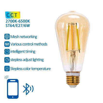Dimbare LED Lamp FILAMENT MESH Smart ST64 E27/6W/230V 2700-6500K - Aigostar