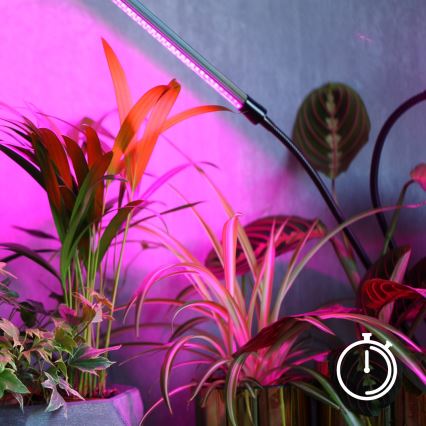LED Dimbaar flexible tafellamp met clip voor het kweken van planten VITARO 4xLED/10W/230V zwart