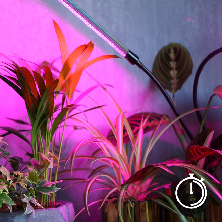 LED Dimbaar flexible tafellamp met clip voor het kweken van planten VITARO 4xLED/10W/230V zwart