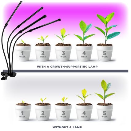LED Dimbaar flexible tafellamp met clip voor het kweken van planten VITARO 4xLED/10W/230V zwart