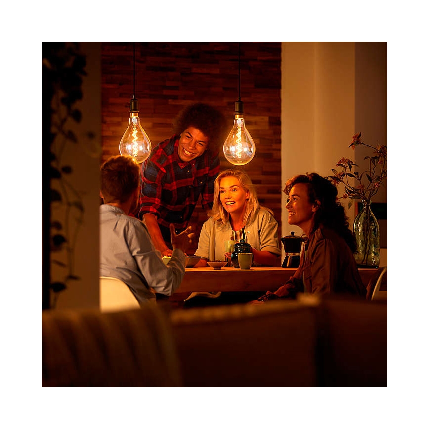 Dimbare LED Lamp VINTAGE DYI E27/4W/230V 2700K - Leuchten Direkt 0846